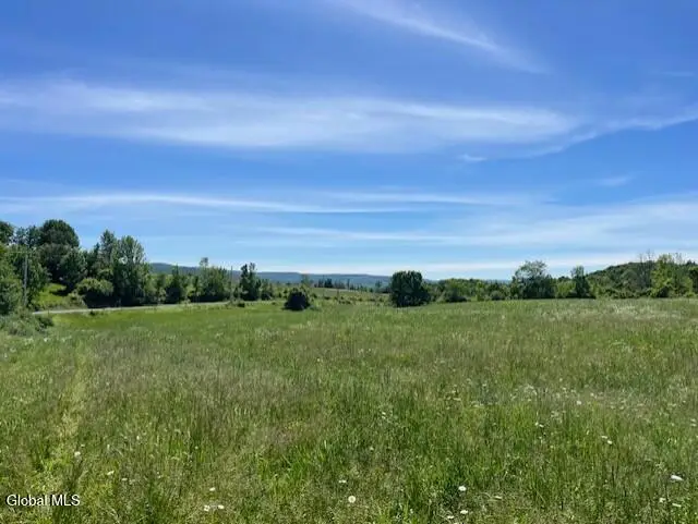L16 Lawton Road, Howes Cave, NY 12092 - #1
