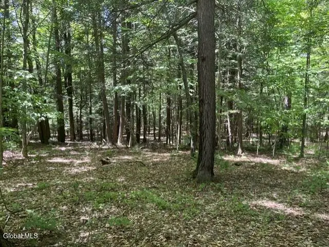 L7 Myers Road, Howes Cave, NY 12092 - #1