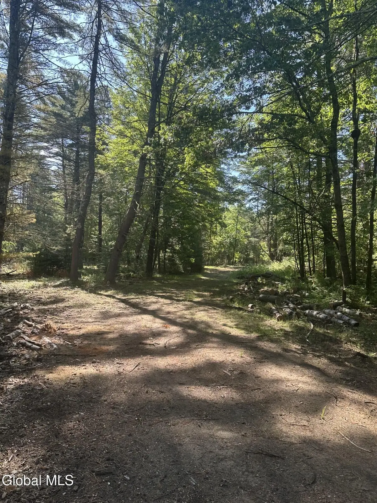 L7 Wilton Woods Court, Wilton, NY 12866 - #1