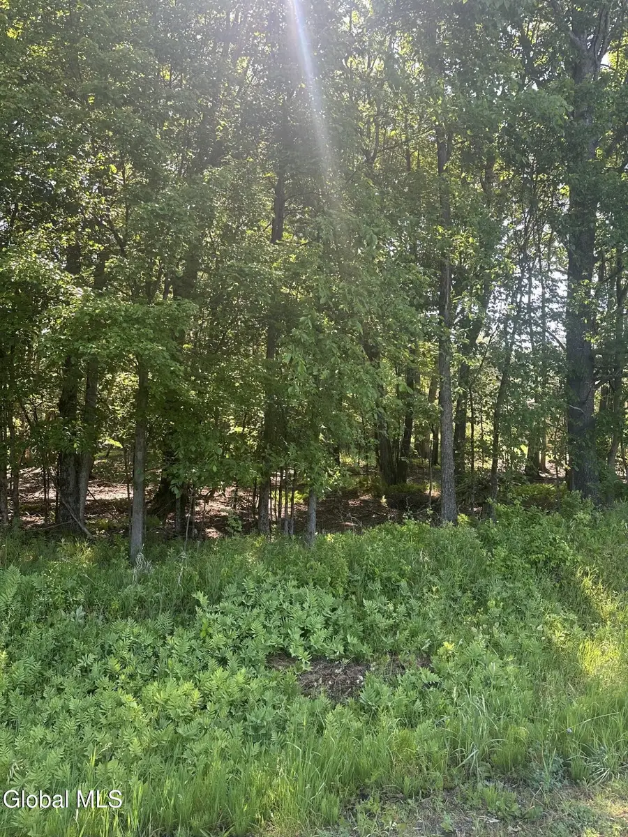 L7 Wilton Woods Court, Wilton, NY 12866 - #2