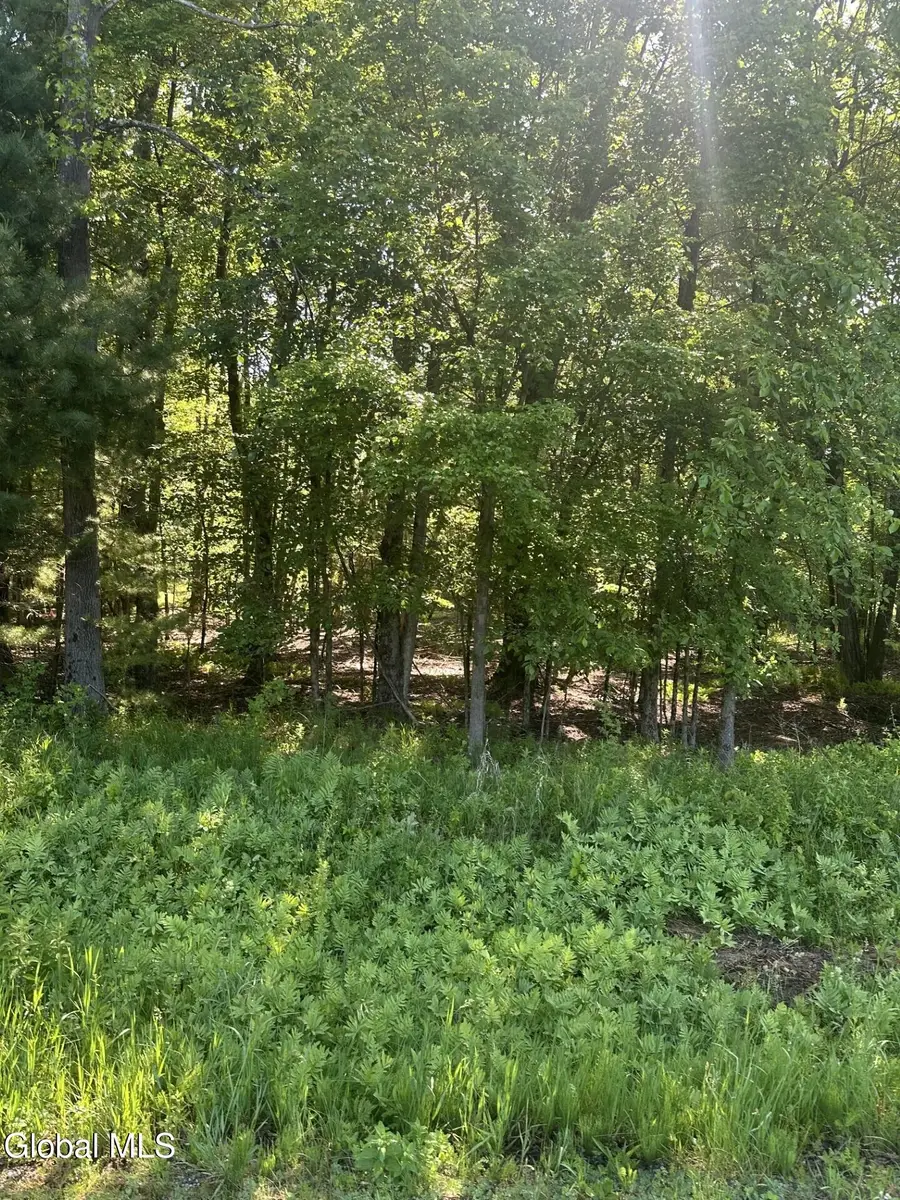 L7 Wilton Woods Court, Wilton, NY 12866 - #3