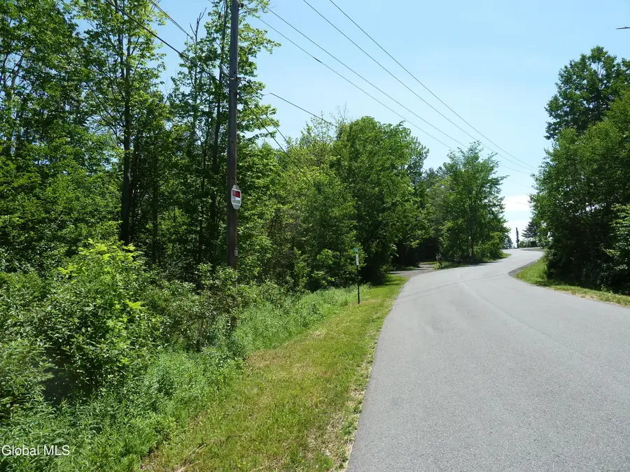 L14 Berry Lane, Hunter, NY 12442 - #2