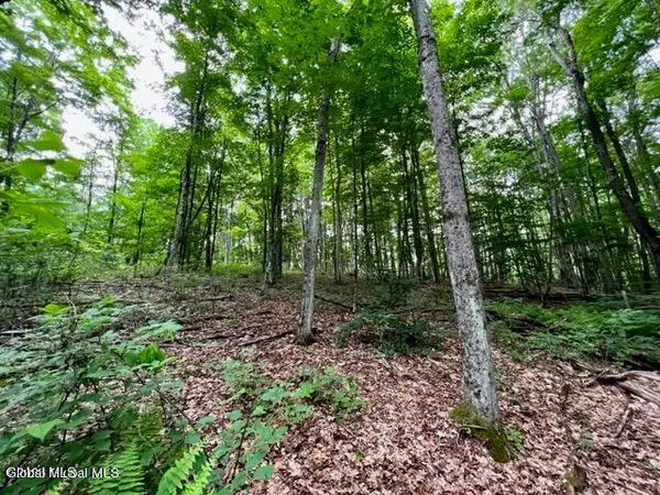 Lot 1 Mcgregor Road #Lot 1, Johnstown, NY 12078