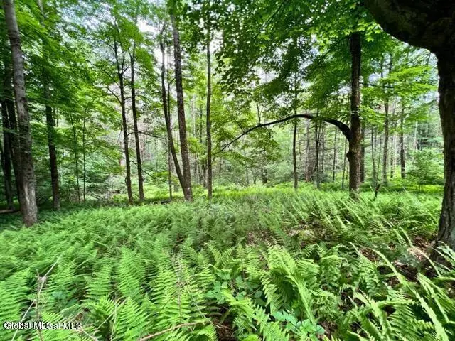 Lot 2 Mcgregor Road #Lot 2, Johnstown, NY 12078 - #1
