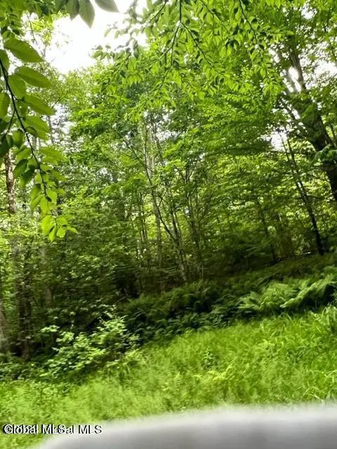 Lot 3 Mcgregor Road #Lot 3, Johnstown, NY 12078 - #2