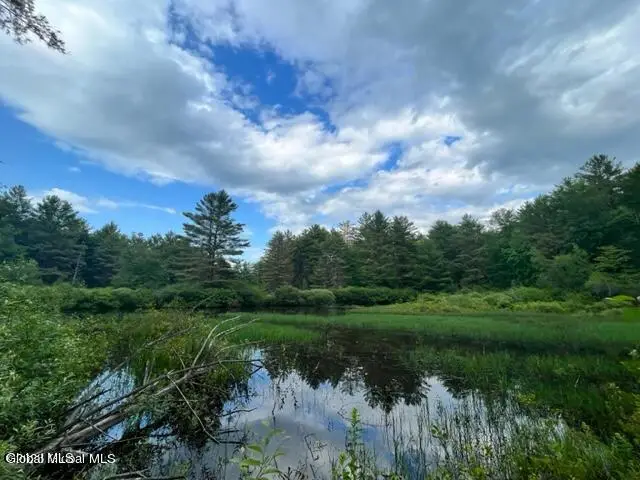 Lot 3 Mcgregor Road #Lot 3, Johnstown, NY 12078 - #3