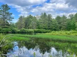 Lot 4 Mcgregor Road #Lot 4, Johnstown, NY 12078 - #1
