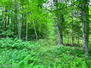 Lot 4 Mcgregor Road #Lot 4, Johnstown, NY 12078 - #2