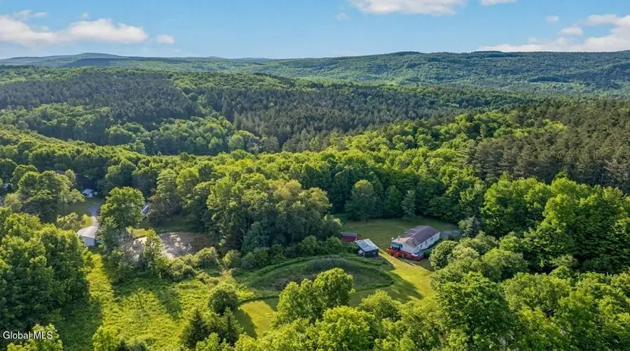 171 Rossman Hill Road, Summit, NY 12175 - #2