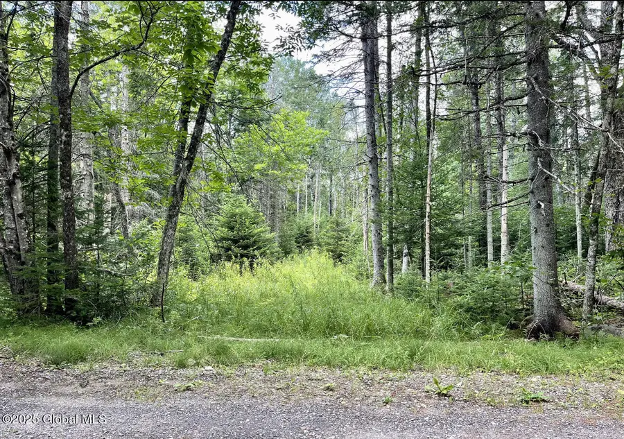 L13 Balsam Drive, Indian Lake, NY 12842 - #2