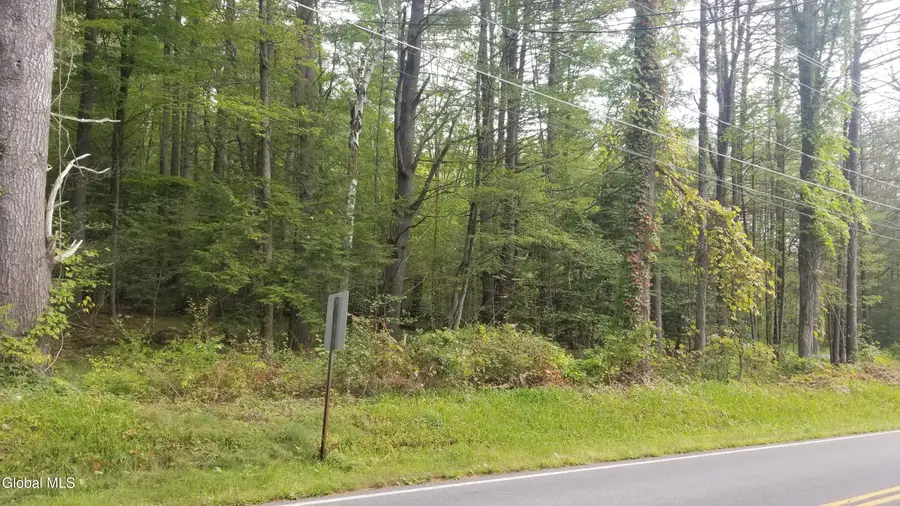 353 Flat Rock Road #Lot 3, Lake George, NY 12845 - #2