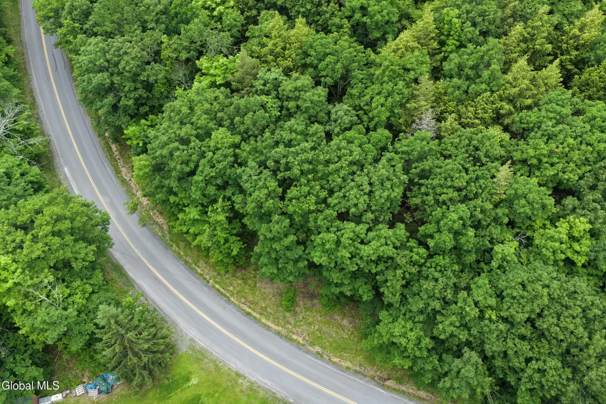 L1.00 Cotton Hill Road, Middleburgh, NY 12023 - #1