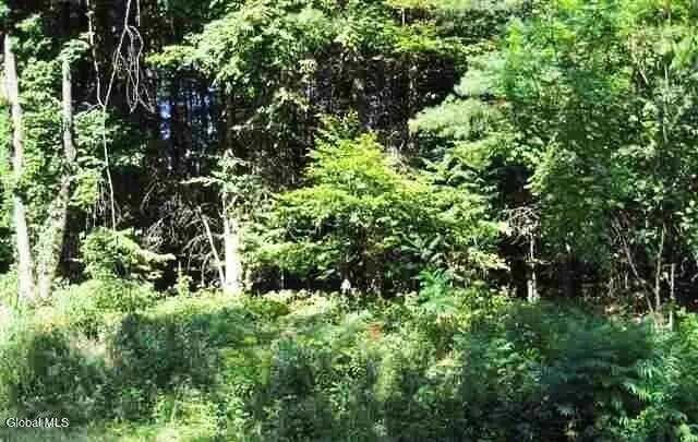 34 Clothier Road, Corinth, NY 12822 - #1