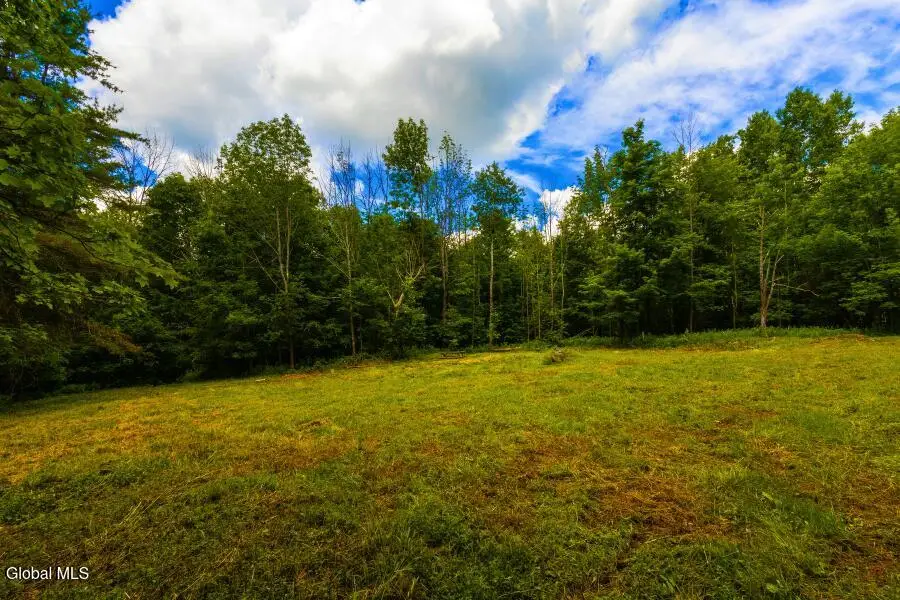 L4.111 Anderson Road, Middleburgh, NY 12122 - #1