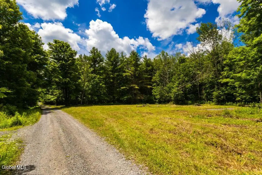L4.111 Anderson Road, Middleburgh, NY 12122 - #3