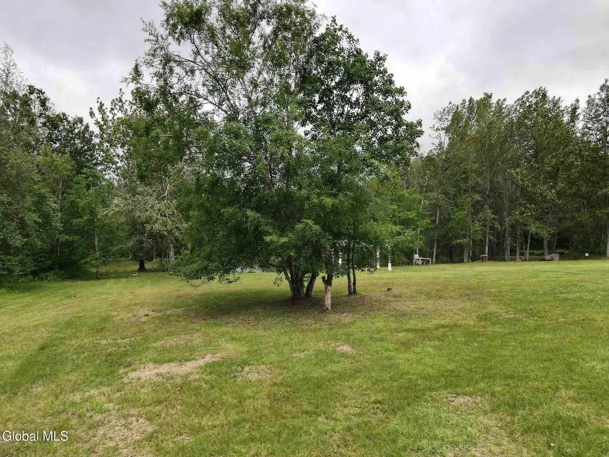 L16 Overlook Drive, Dannemora, NY 12929 - #1