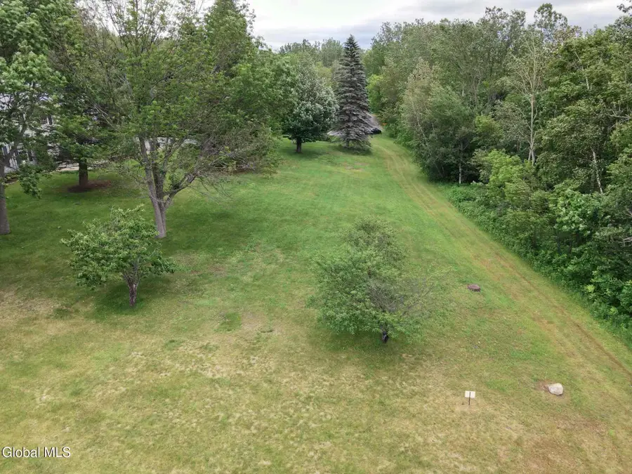 L16 Overlook Drive, Dannemora, NY 12929 - #3