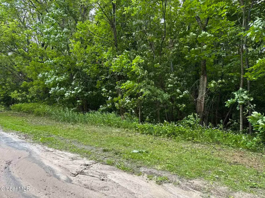 L9 Clark Street, Dannemora, NY 12929 - #3
