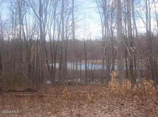 1980 Weast Road, Mariaville Lake, NY 12137 - #1