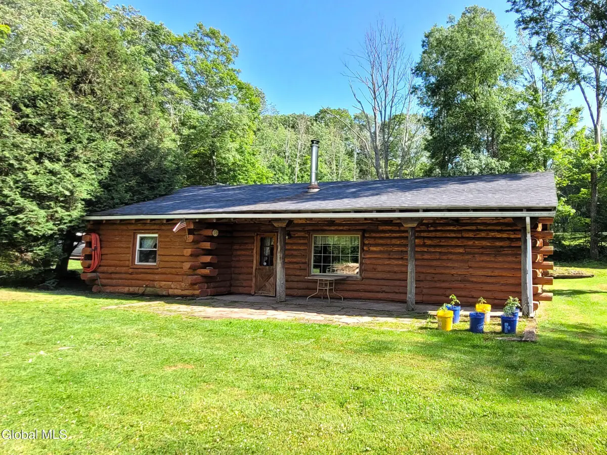 119 Brown House Road, Conesville, NY 12076 - #1