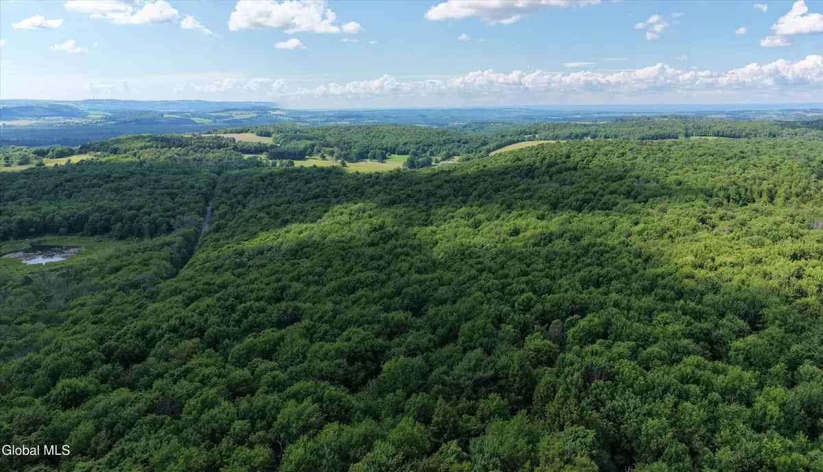 L27.5 Gorton Lake Rd, Sangerfield, NY 13455 - #1