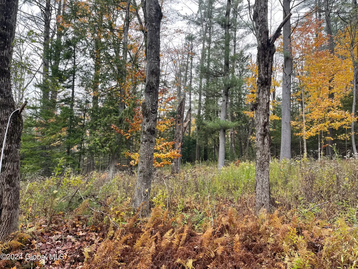L47.2 Mallon Road, Minerva, NY 12857 - #1