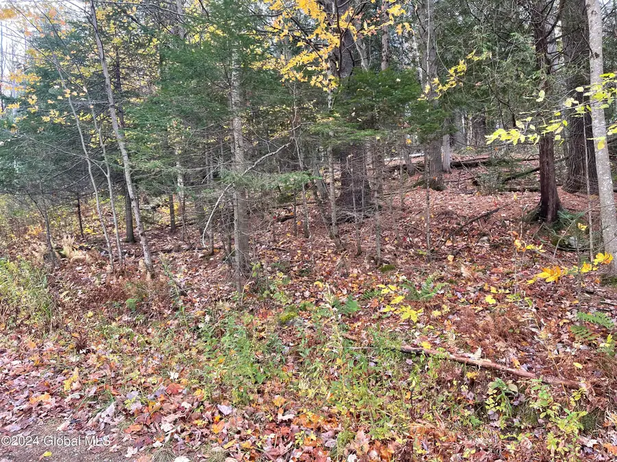 L47.2 Mallon Road, Minerva, NY 12857 - #3