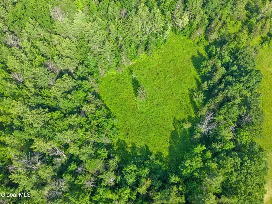 L6 Guinea Road, Middleburgh, NY 12122 - #2