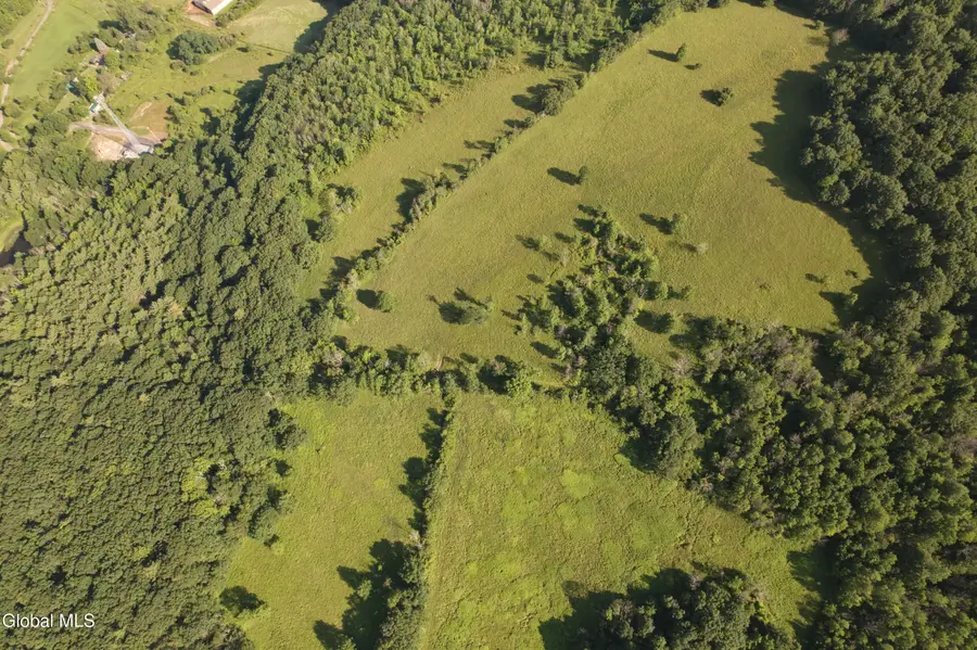 L-11 Earls Road, Middleburgh, NY 12122 - #2
