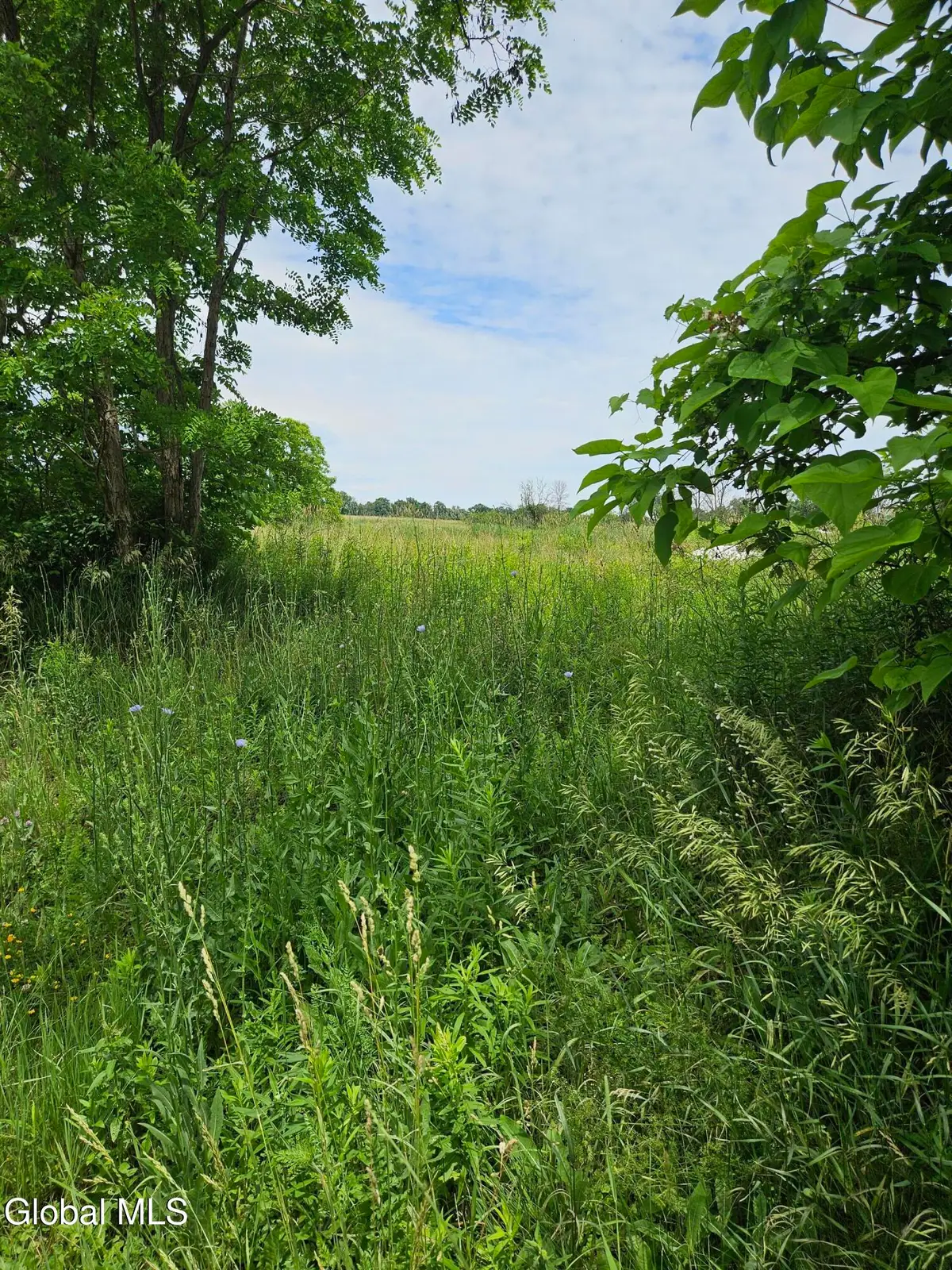 0 NE State Route 4 Street, Fort Edward, NY 12828 - #1
