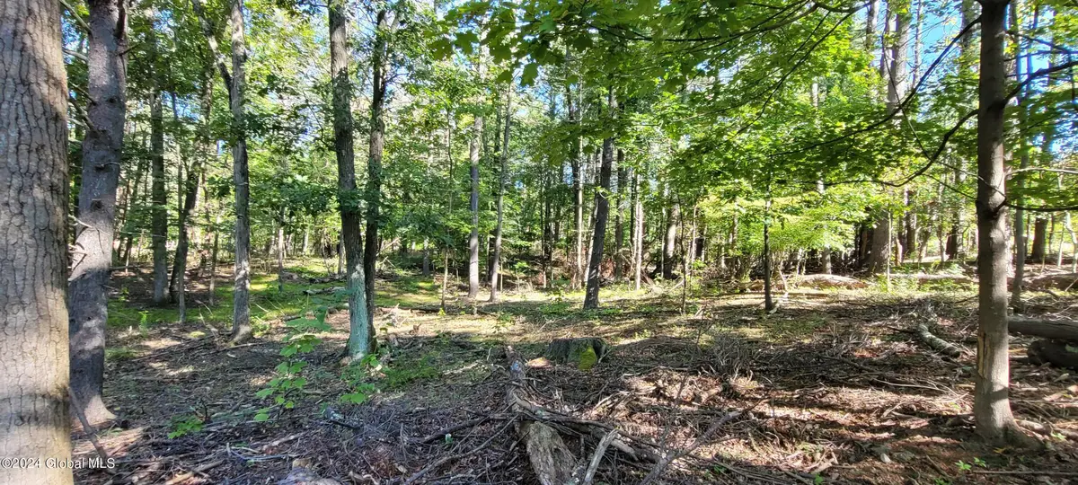 L20 High Hill Road, Coxsackie, NY 12051 - #1