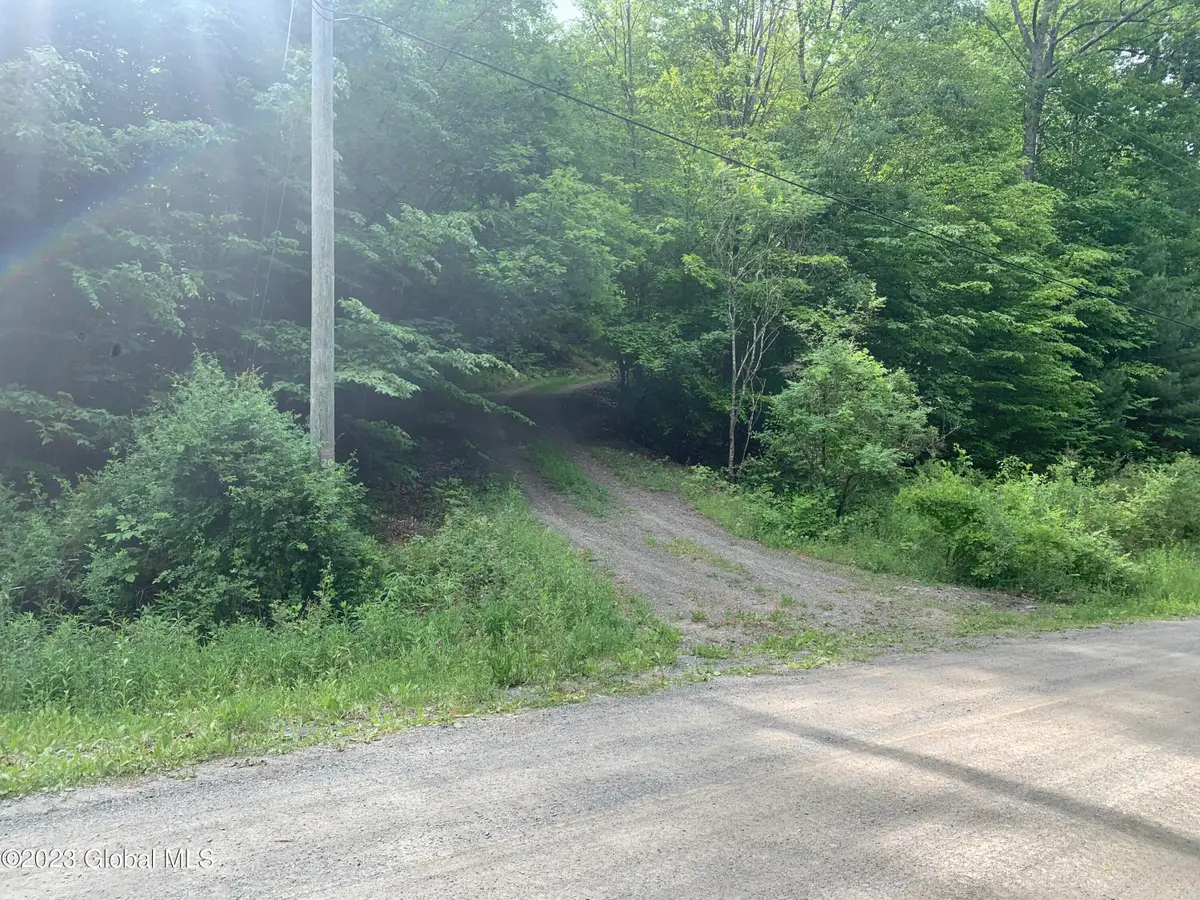 189 Covenant Circle, New Lebanon, NY 12062 - #1