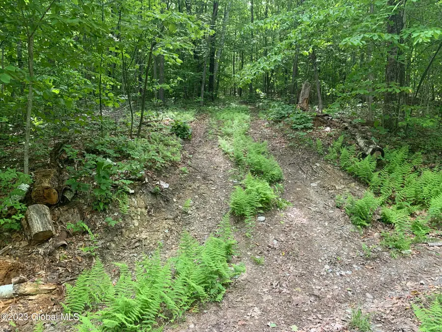 189 Covenant Circle, New Lebanon, NY 12062 - #3