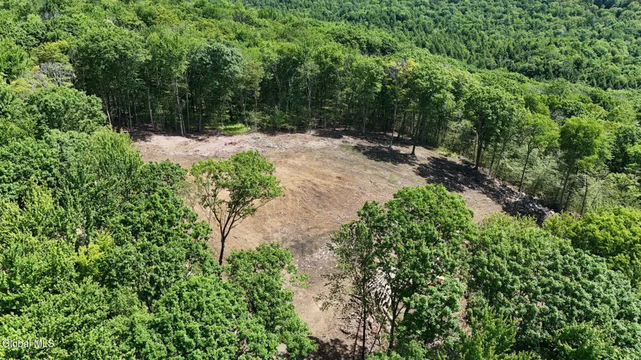 L184 Black River Road, Stephentown, NY 12169 - #2