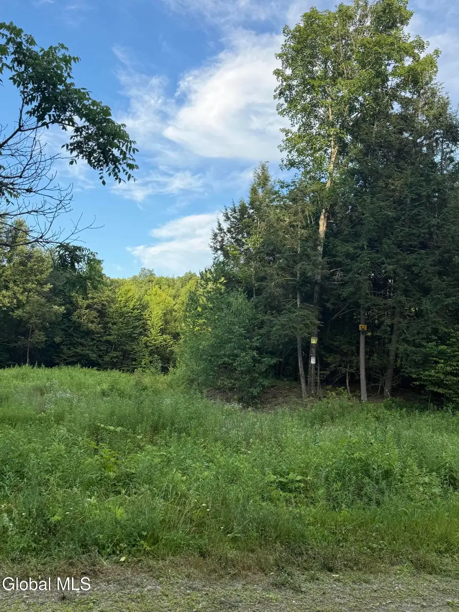 370 Carrera Lane, Granville, NY 12832 - #2