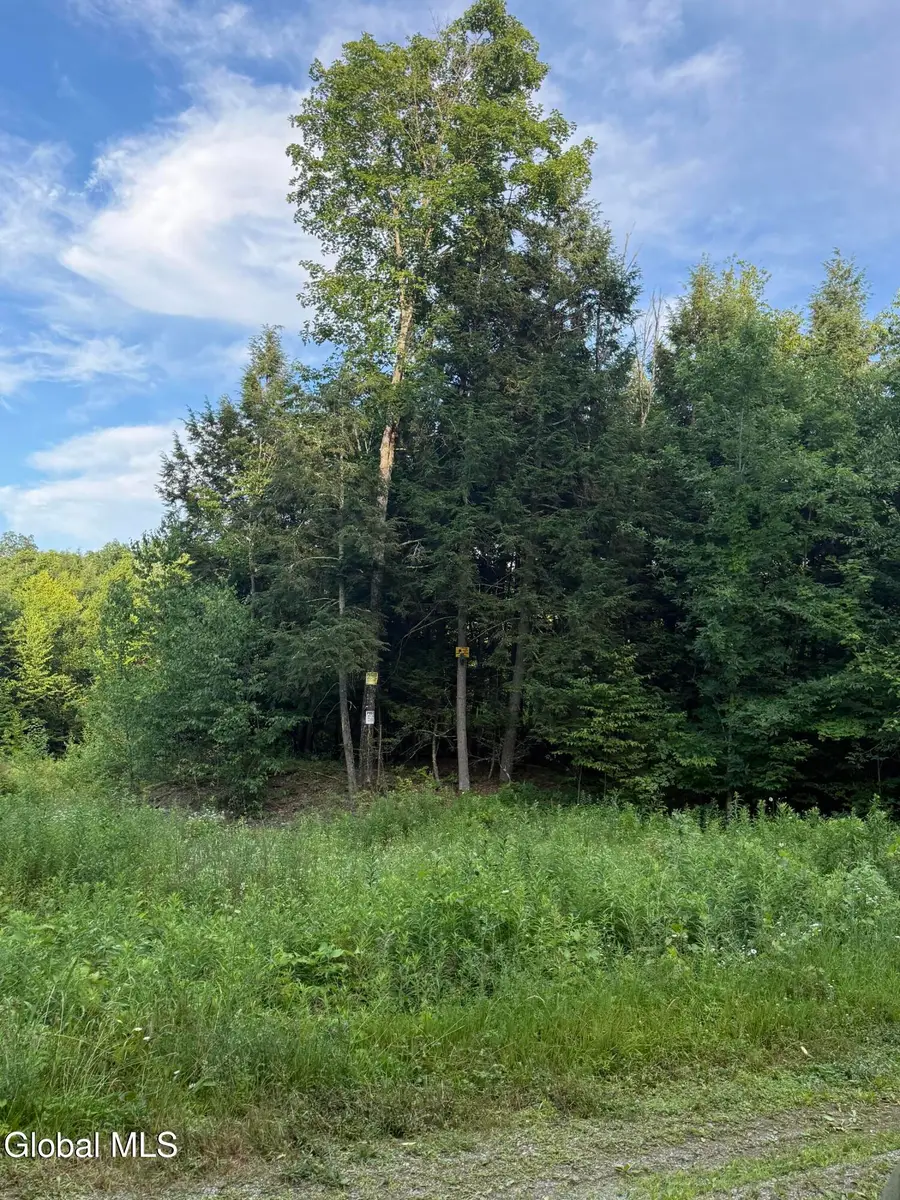 370 Carrera Lane, Granville, NY 12832 - #3