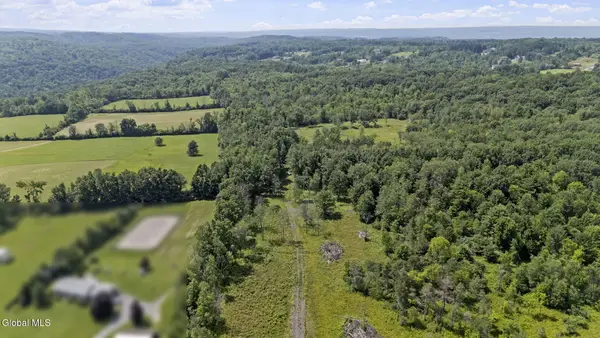 181 Gray Road, Guilderland, NY 12009