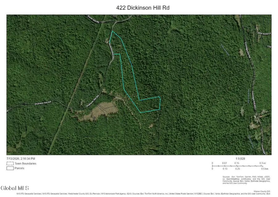 422 Dickinson Hill Road, Diamond Point, NY 12814 - #2