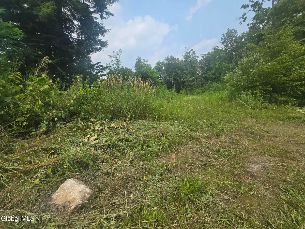 L5 Hickory Hill Road, Fort Plain, NY 13339 - #1