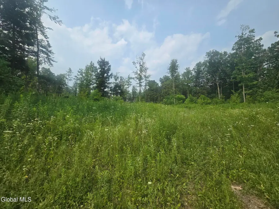 L5 Hickory Hill Road, Fort Plain, NY 13339 - #3