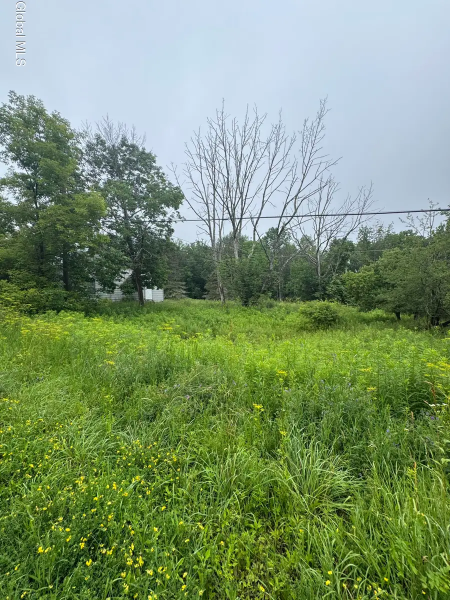 707 S Mountain Road, Conesville, NY 12076 - #2