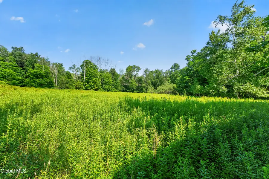 201 Presbyterian Hill Road #Lot 1, Stephentown, NY 12168 - #3