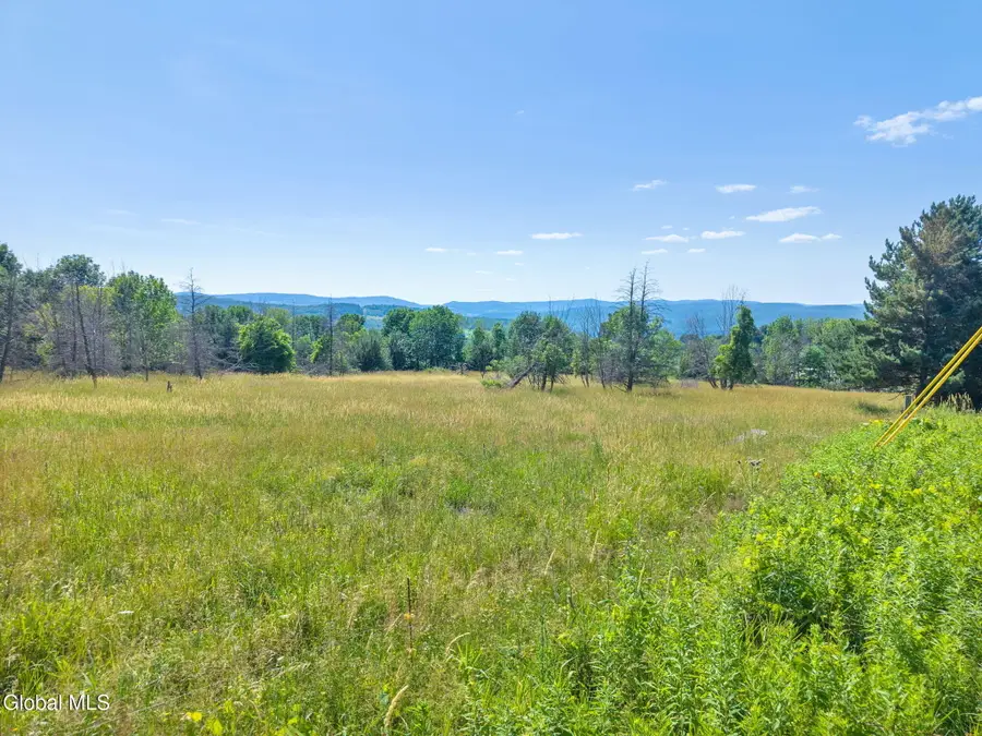L57-L58 W Fulton Road, Warnerville, NY 12187 - #2