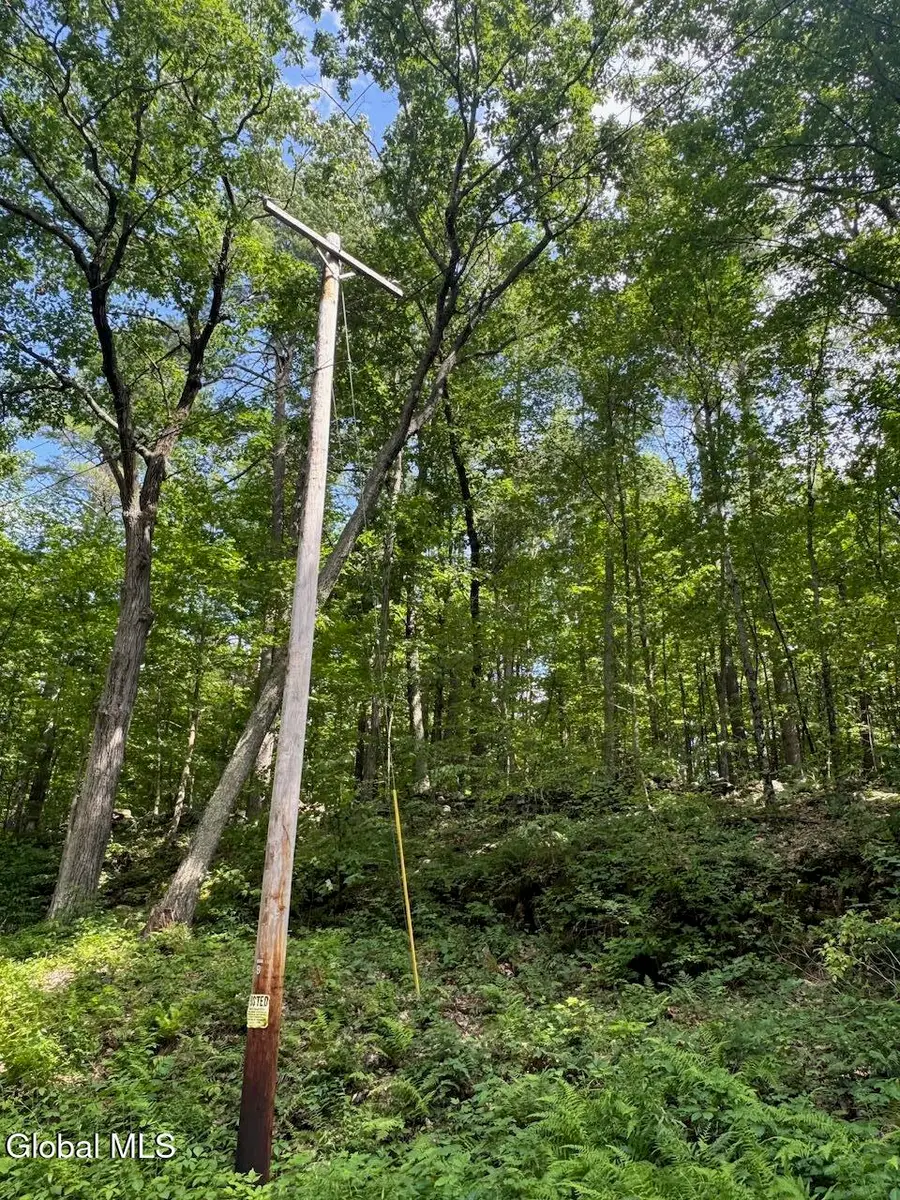L13.5 Kilmer Road, Argyle, NY 12809 - #3