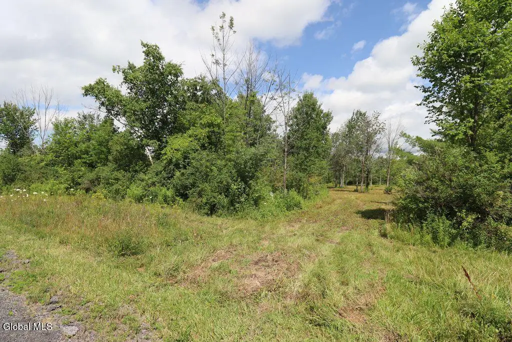 468 Middle Road, Knox, NY 12107 - #1