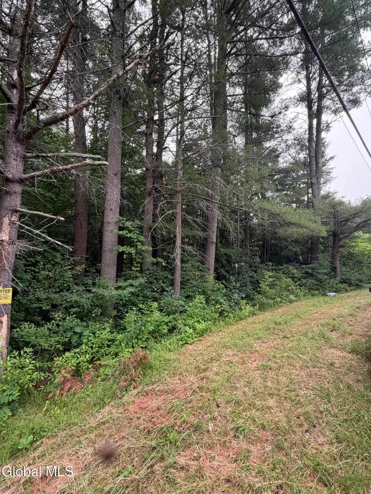 L1 Nine Mile Tree Road, Mayfield, NY 12117 - #1