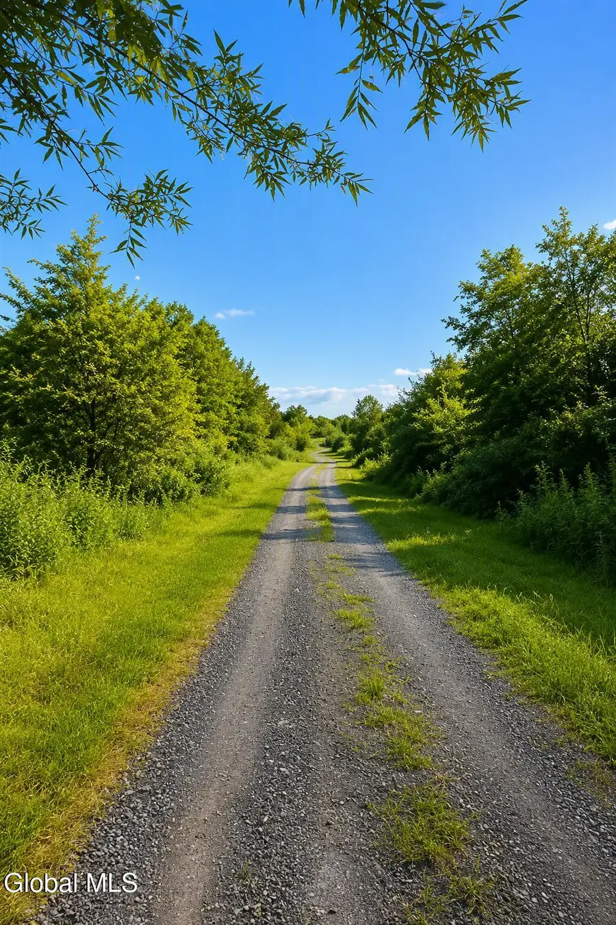 L11.1 S. Clement Avenue, Ravena, NY 12143 - #3