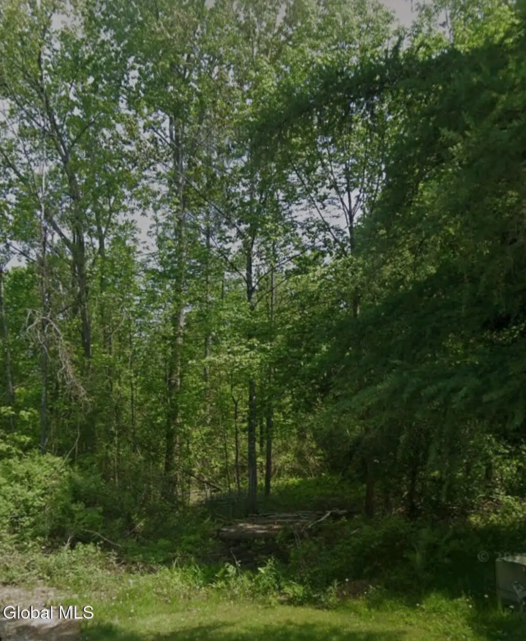 L 20.2 Pleasant View Drive, Gloversville, NY 12078 - #1