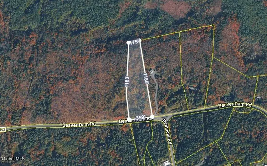L 1-48 Beaver Dam Road, New Scotland, NY 12186 - #2