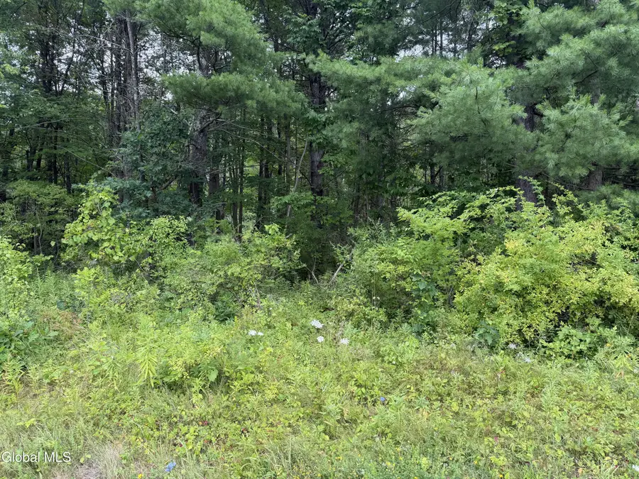 L-15 New York 32 #Lot 15, Greenville, NY 12083 - #2